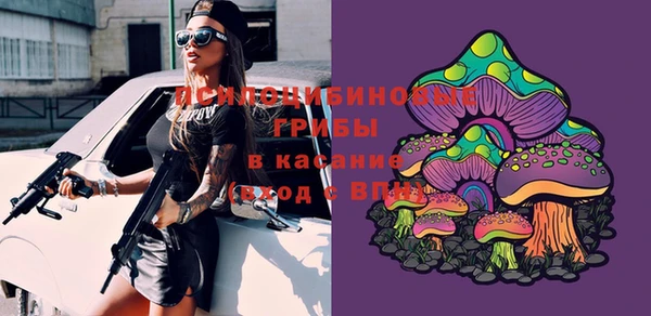 ECSTASY Алексеевка