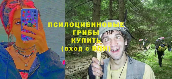 PSILOCYBIN Алексин