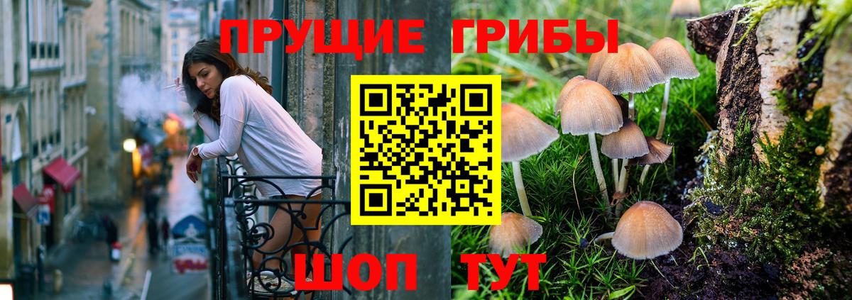 Псилоцибиновые грибы MAGIC MUSHROOMS  Вход с VPN  Тихвин 